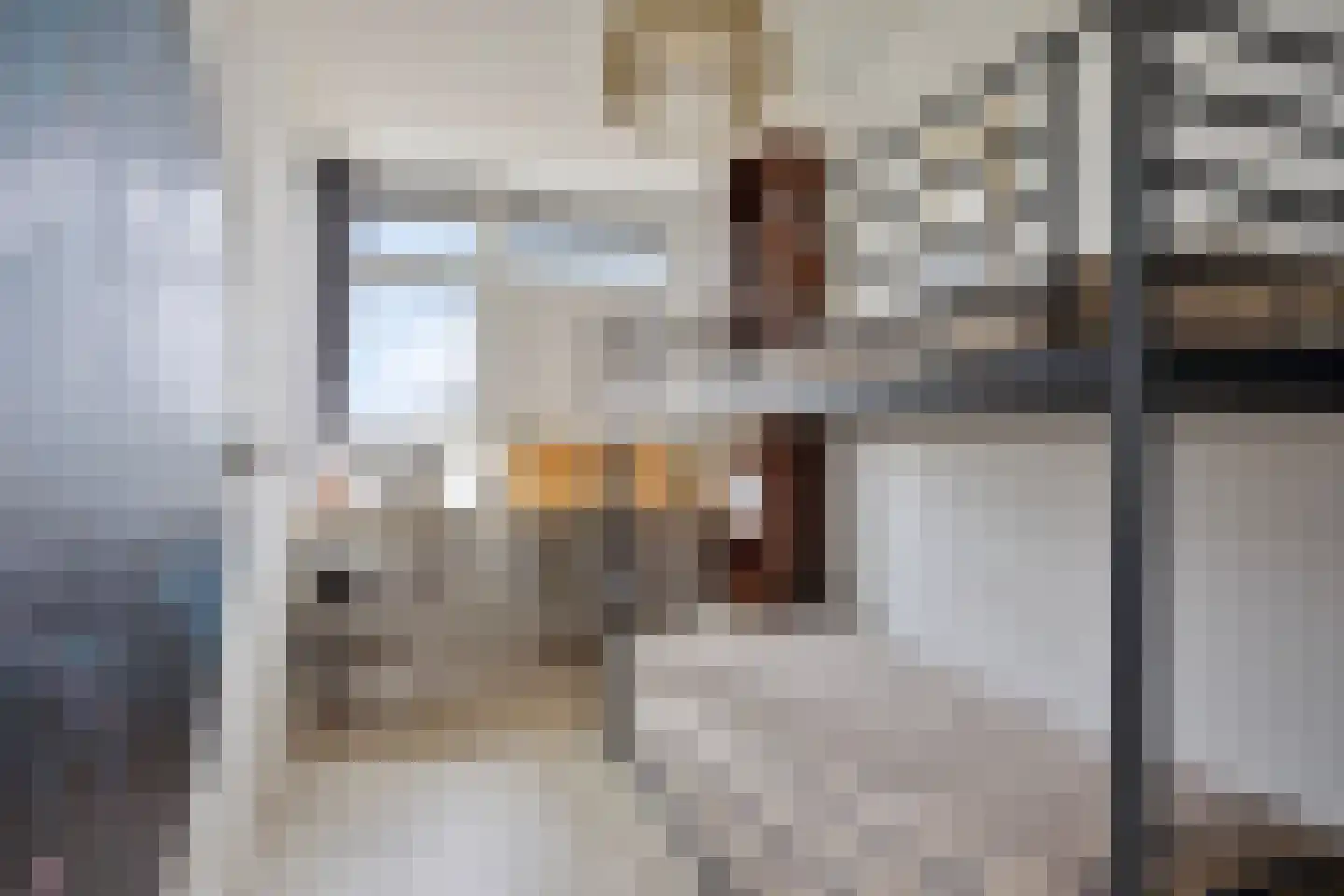 Jacques Urlusplantsoen 308 Leiden thumbnail 30