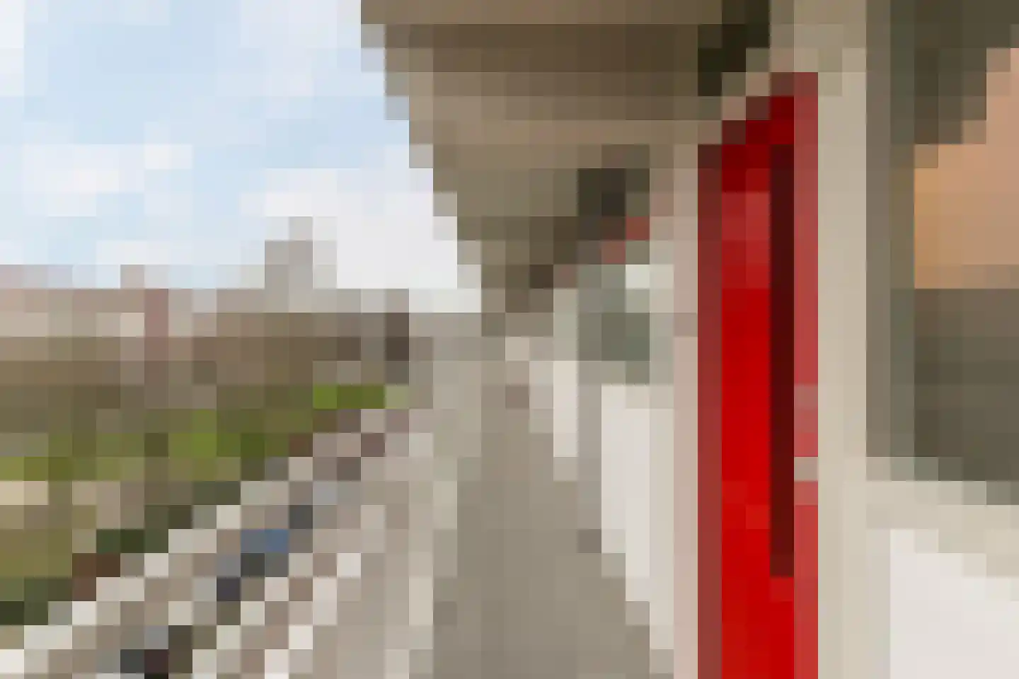Jacques Urlusplantsoen 308 Leiden thumbnail 9