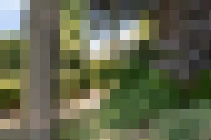 Jacques Urlusplantsoen 361 Leiden thumbnail 38