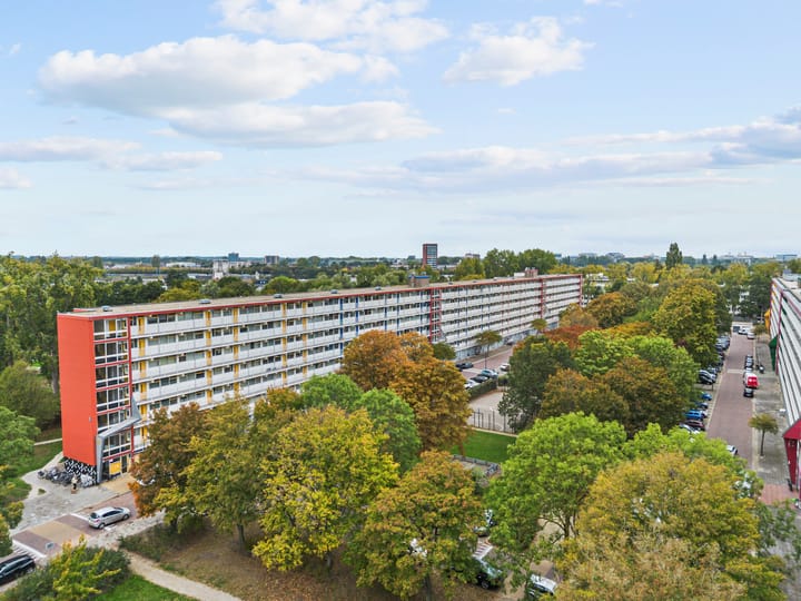 Jacques Urlusplantsoen 377 in Leiden Foto