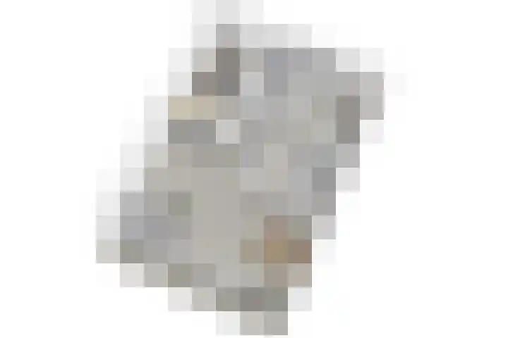 Jacques Urlusplantsoen 378 Leiden thumbnail 44