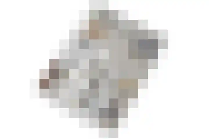 Jacques Urlusplantsoen 378 Leiden thumbnail 45