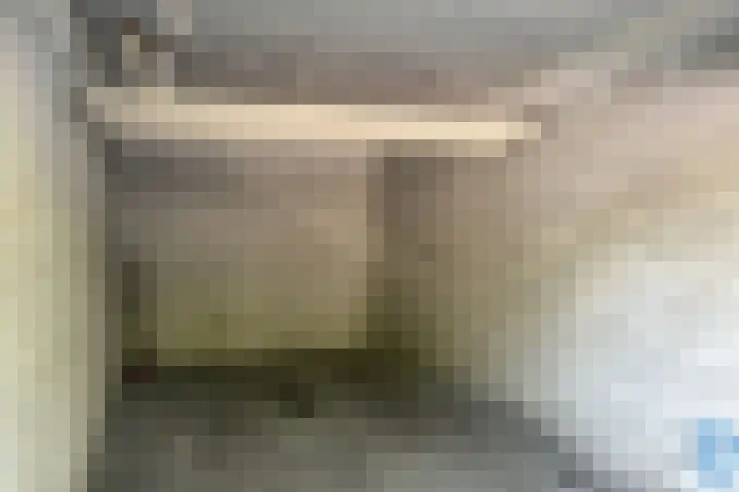 Jacques Urlusplantsoen 51 Leiden thumbnail 4