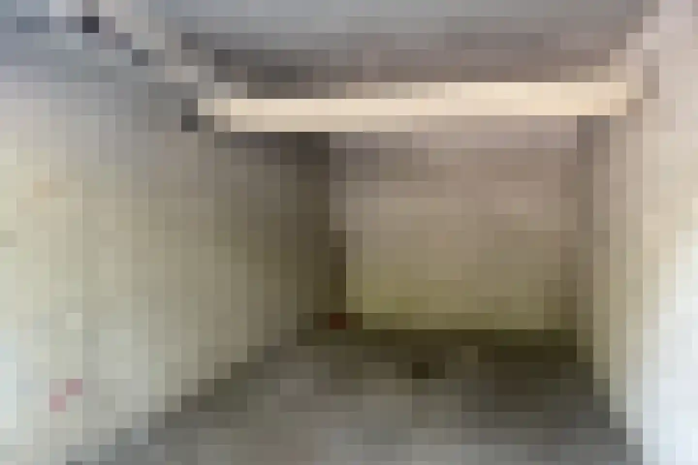 Jacques Urlusplantsoen 51 Leiden thumbnail 5