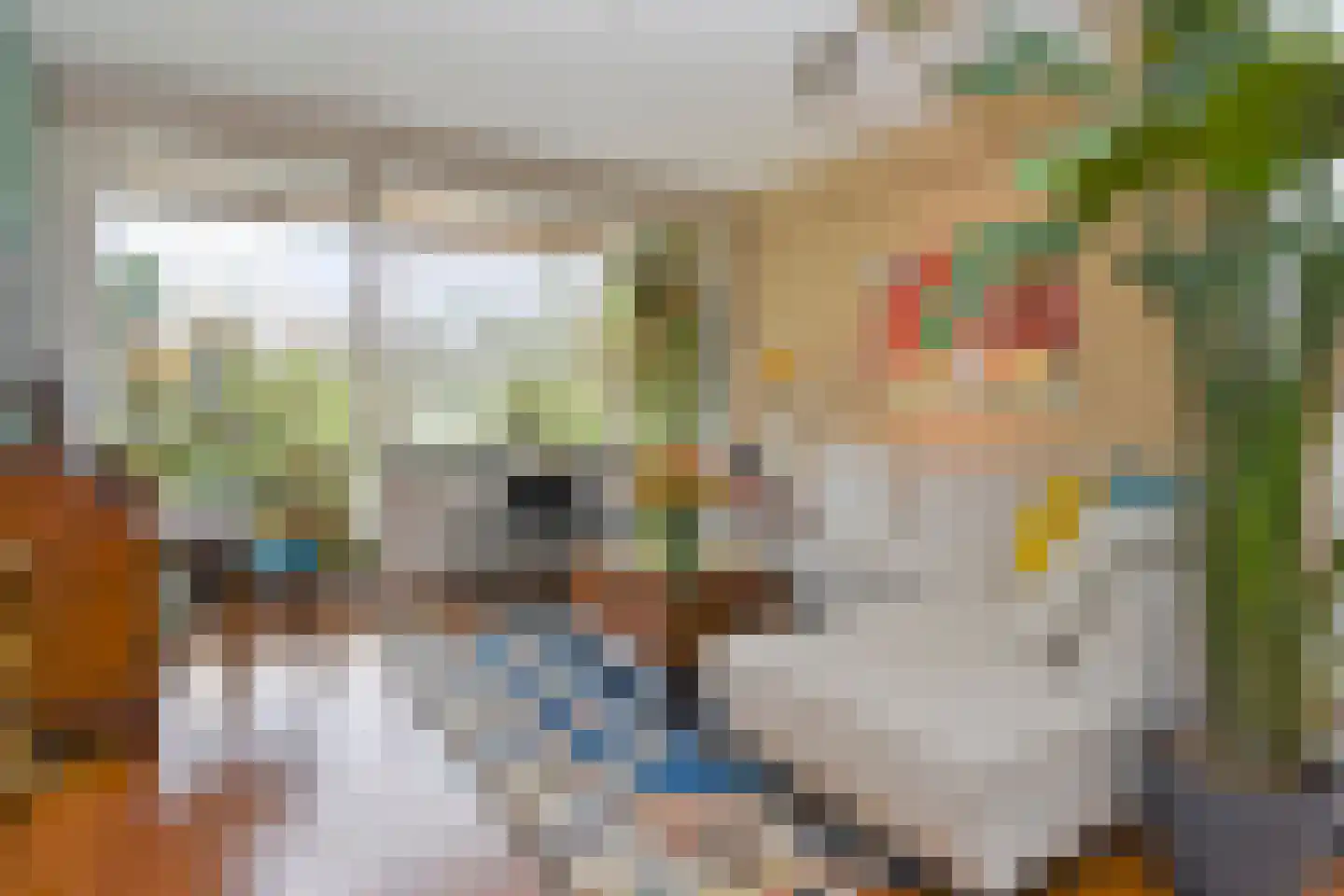 Jacques Urlusstraat 3 Den Haag thumbnail 23