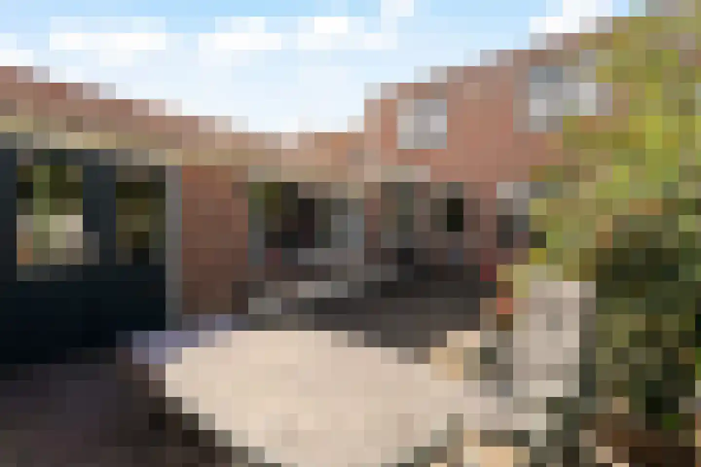Jacques Urlusstraat 44 Noordwijk thumbnail 12