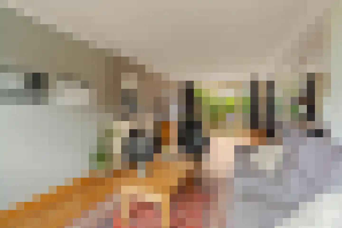 Jacques Urlusstraat 44 Noordwijk thumbnail 8