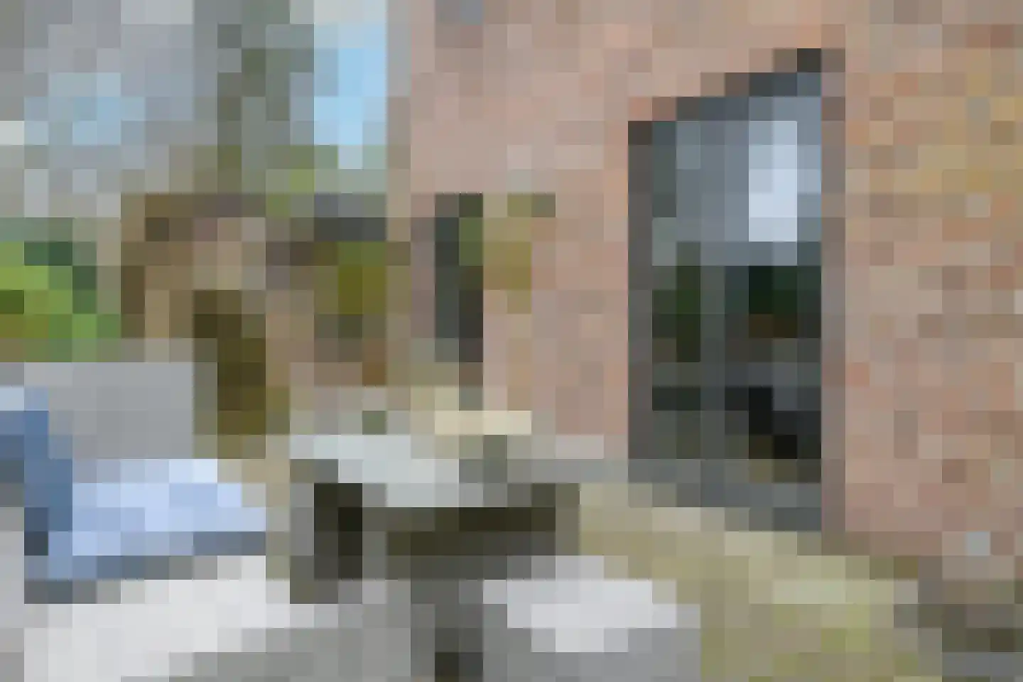 Jacques van Mourikpad 5 Plasmolen thumbnail 10