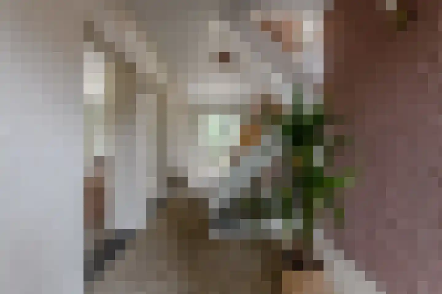 Jacques van Mourikpad 5 Plasmolen thumbnail 12