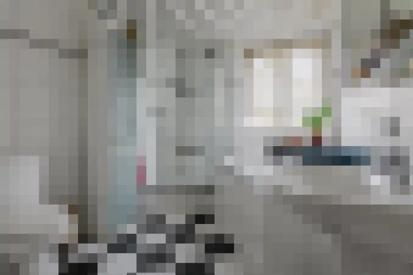 Jacques van Mourikpad 5 Plasmolen thumbnail 25