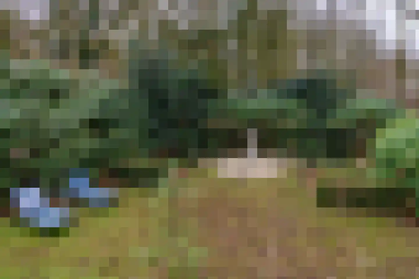 Jacques van Mourikpad 5 Plasmolen thumbnail 37