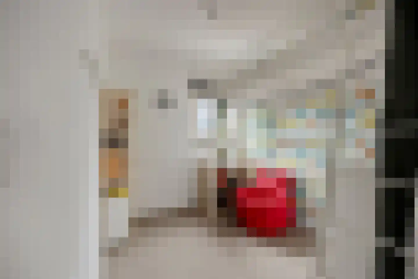 Jacques Veltmanstraat 131 Amsterdam thumbnail 23