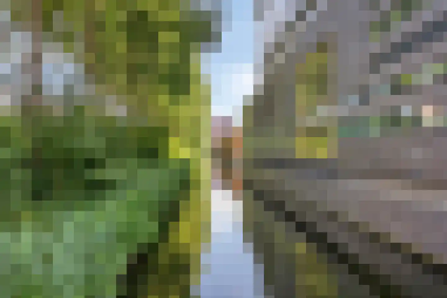 Jacques Veltmanstraat 15 Amsterdam thumbnail 27