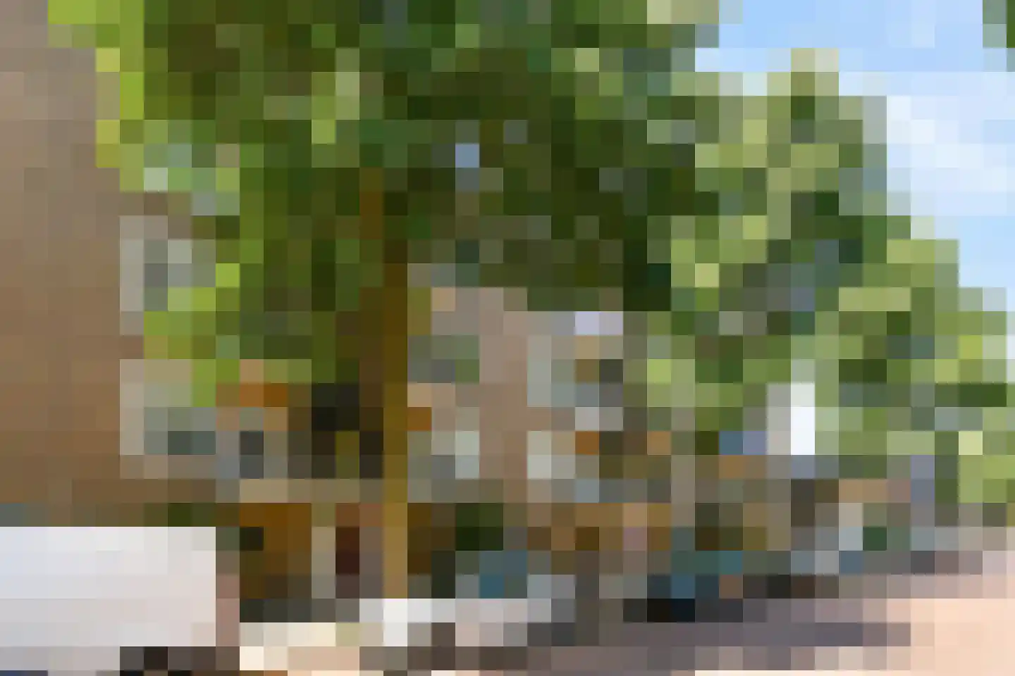 Jacques Veltmanstraat 18 2 Amsterdam thumbnail 23