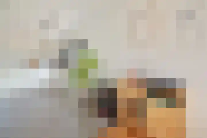 Jacques Veltmanstraat 193 Amsterdam thumbnail 6