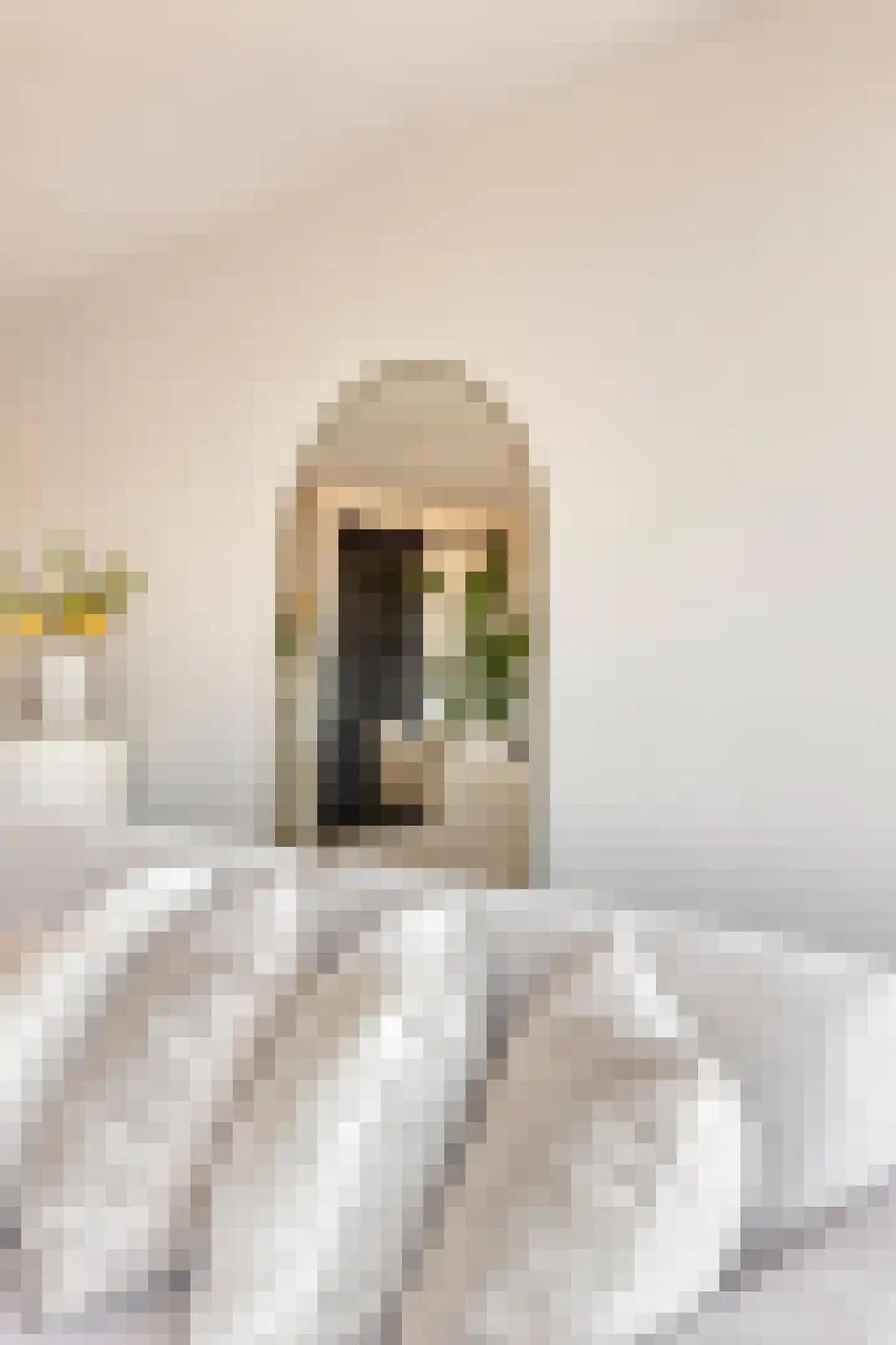 Jacques Veltmanstraat 225 Amsterdam thumbnail 18
