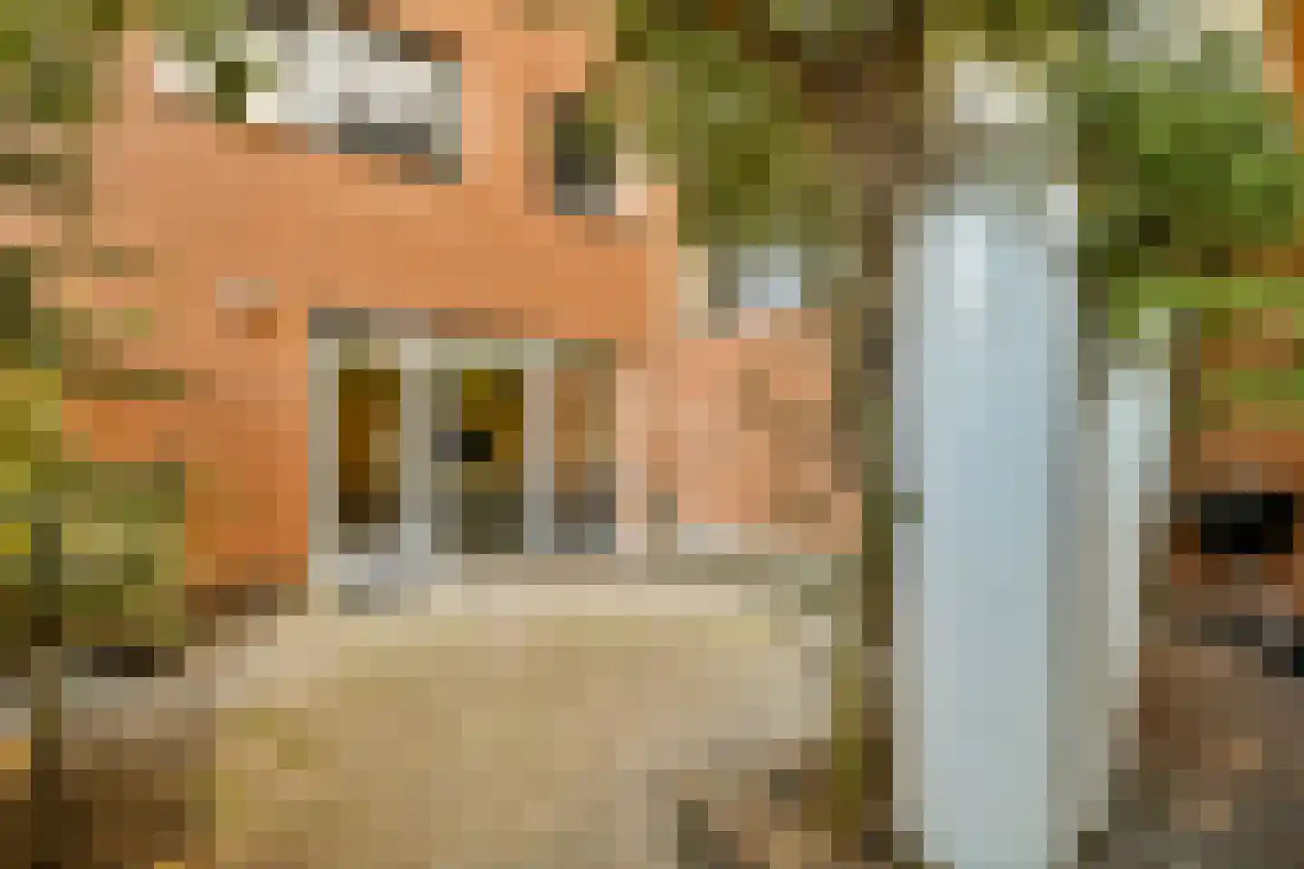 Jacques Veltmanstraat 237 Amsterdam thumbnail 18