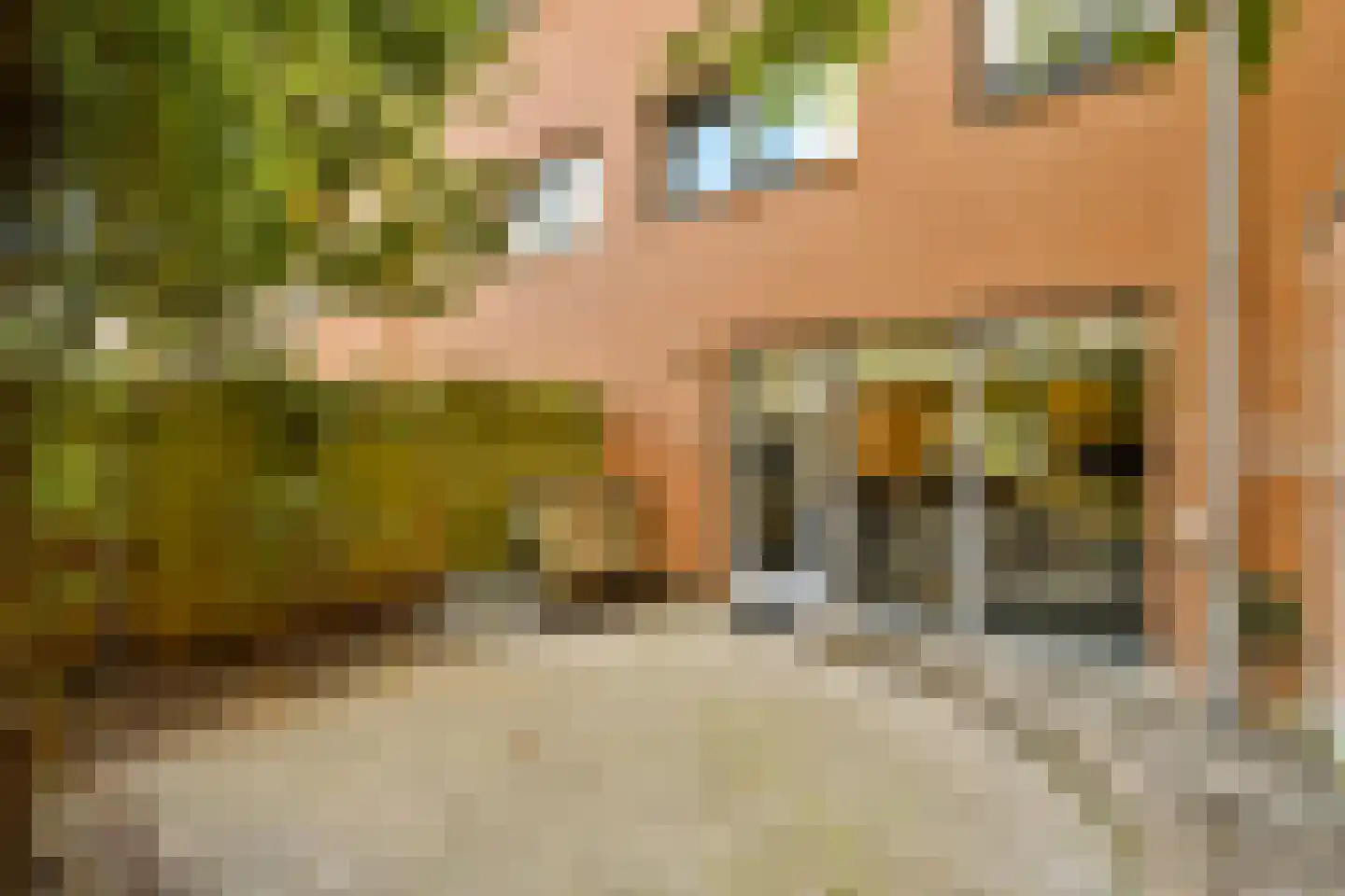 Jacques Veltmanstraat 237 Amsterdam thumbnail 5