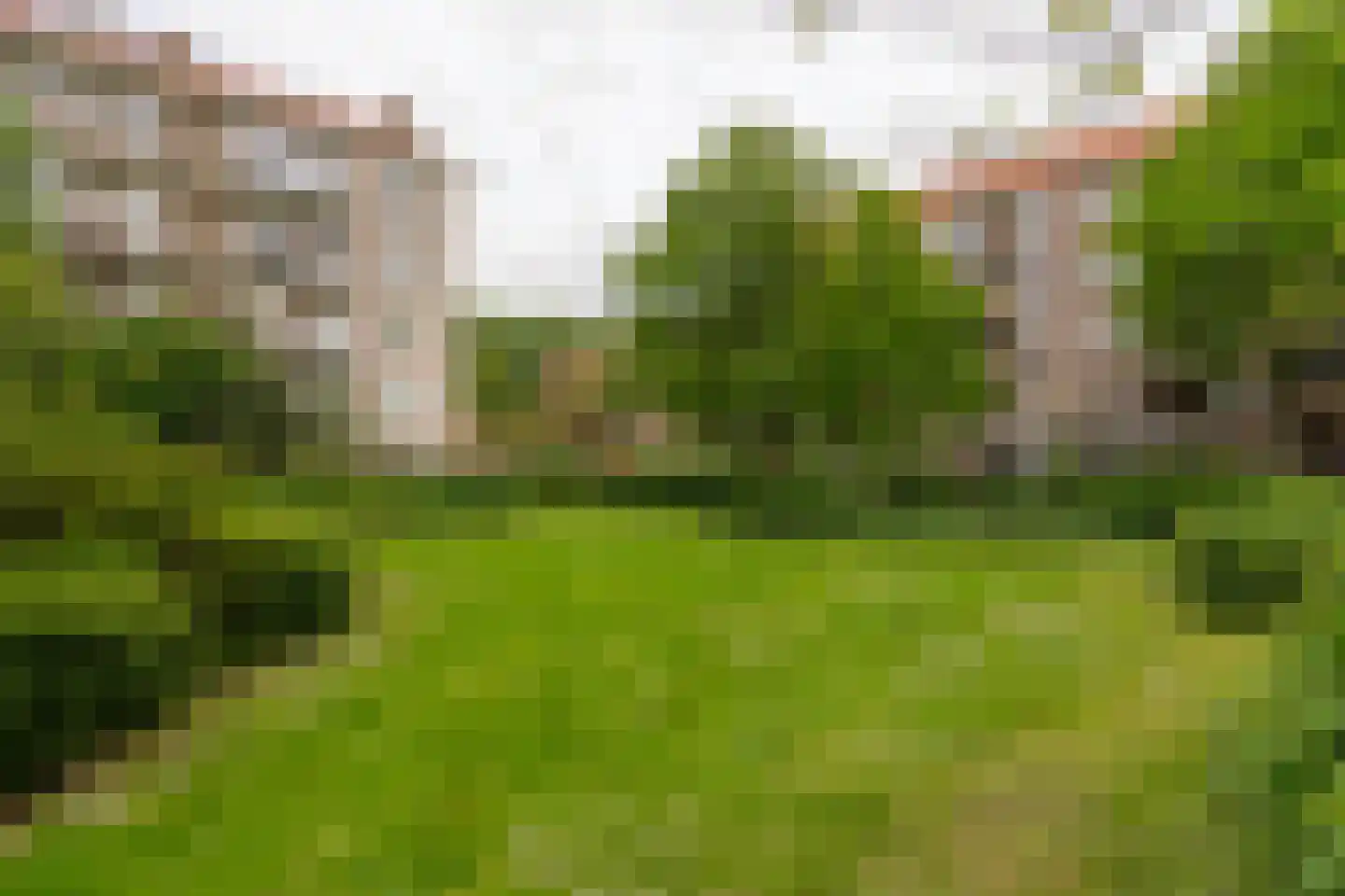 Jacques Veltmanstraat 42 2 Amsterdam thumbnail 30