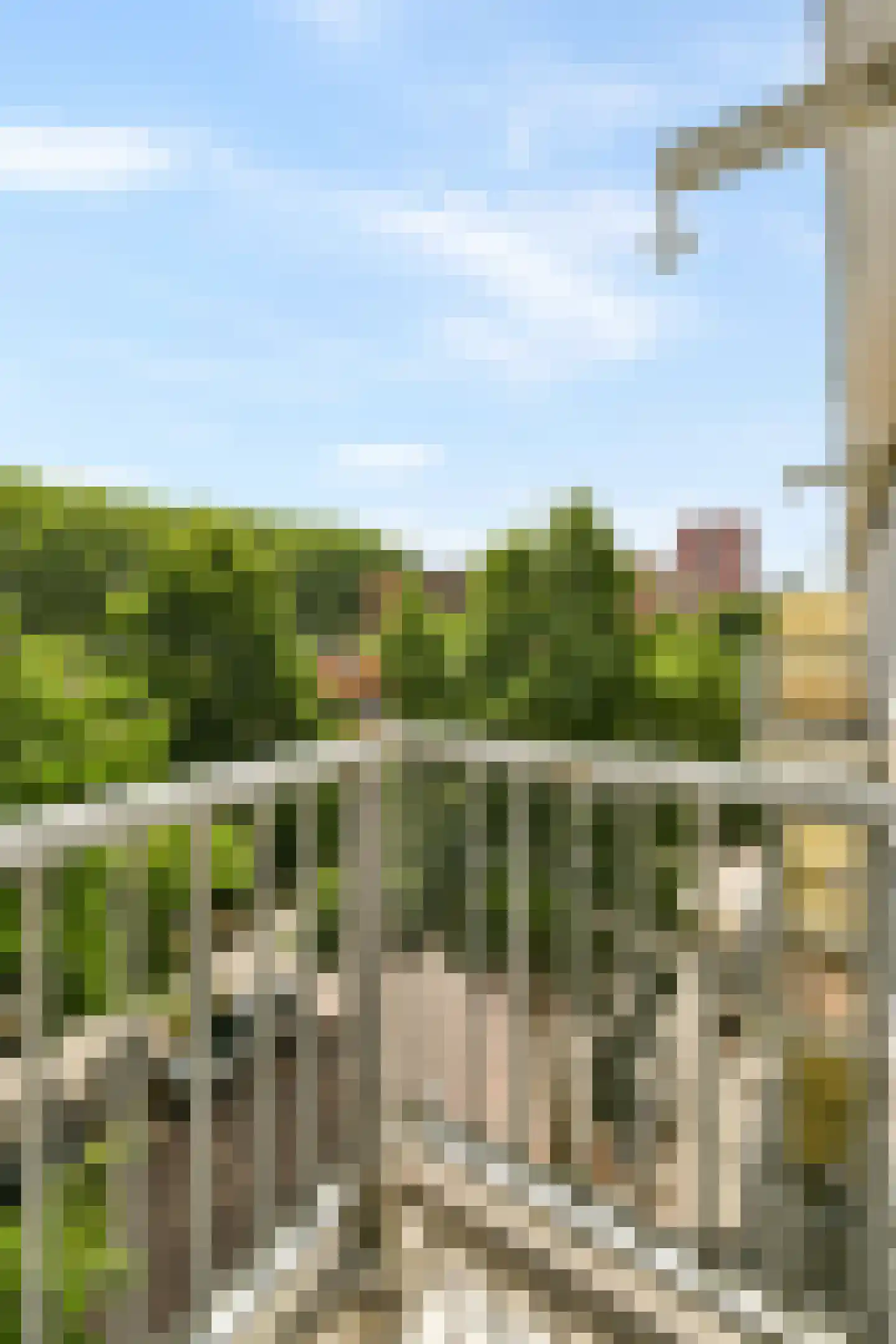 Jacques Veltmanstraat 48 3 Amsterdam thumbnail 14