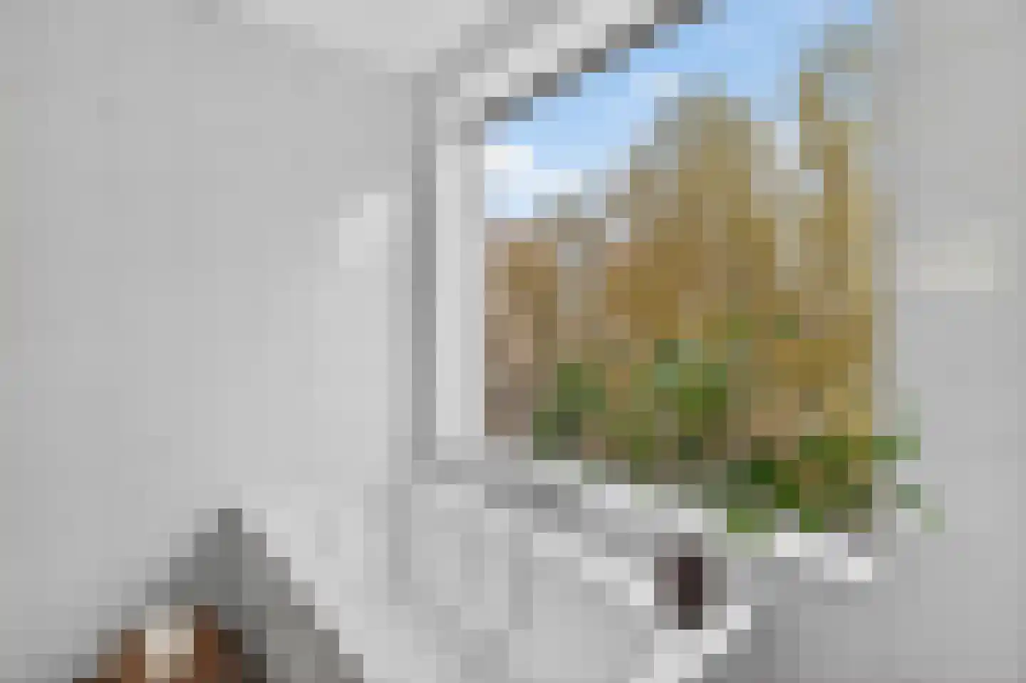 Jacques Veltmanstraat 57 Amsterdam thumbnail 46