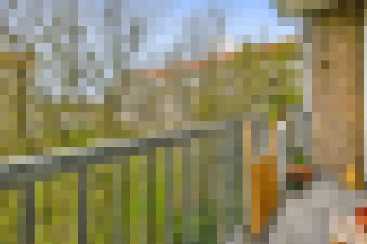 Jacques Veltmanstraat 64 H Amsterdam thumbnail 14