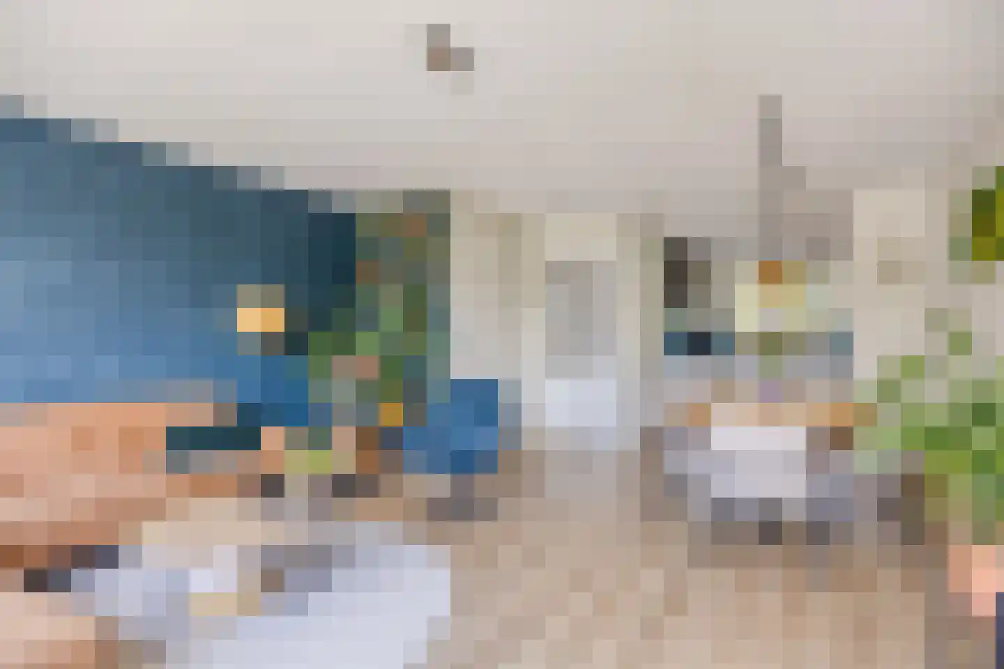 Jade 10 Roelofarendsveen thumbnail 4
