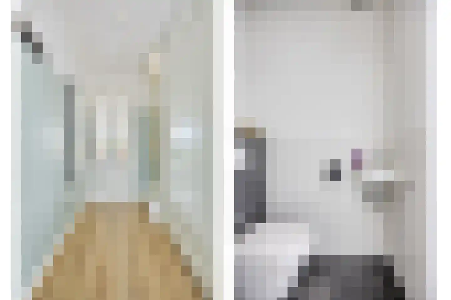 Jade 10 Roelofarendsveen thumbnail 9