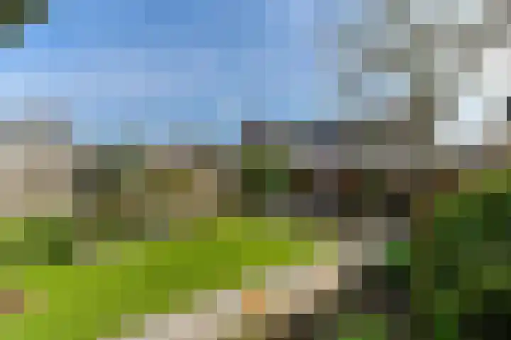 Jade 10 Venlo thumbnail 10