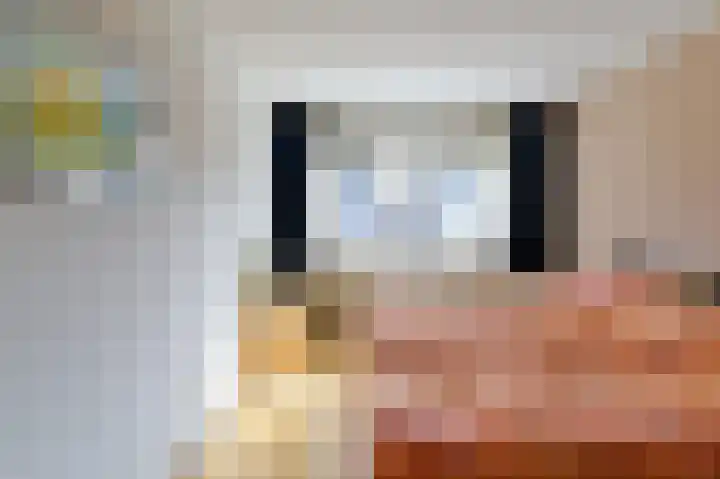 Jade 10 Venlo thumbnail 14