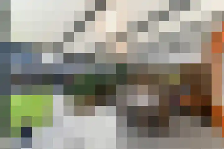 Jade 10 Venlo thumbnail 9