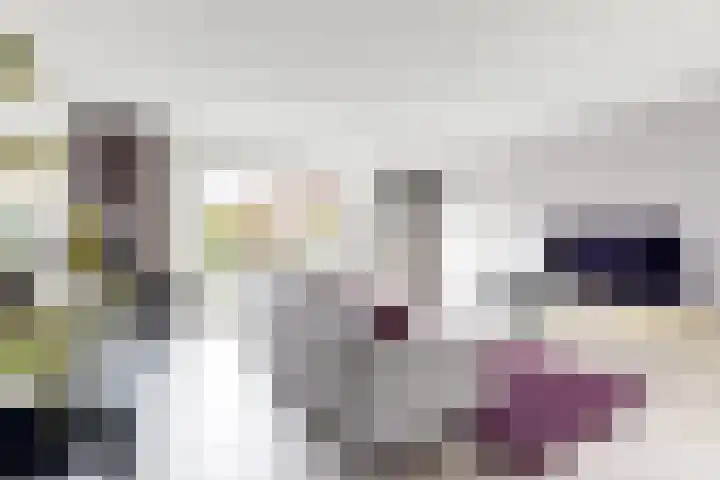 Jade 11 Zevenbergen thumbnail 10