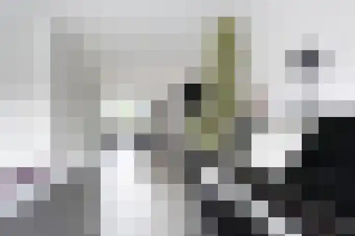Jade 11 Zevenbergen thumbnail 13