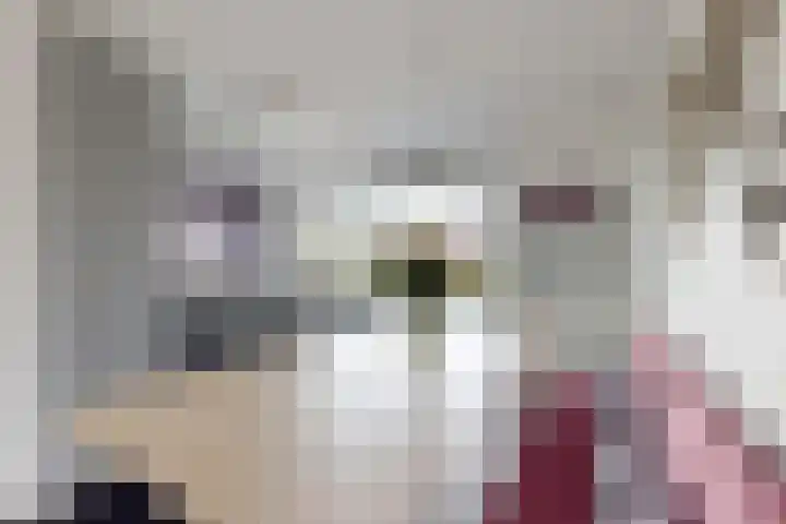 Jade 11 Zevenbergen thumbnail 16
