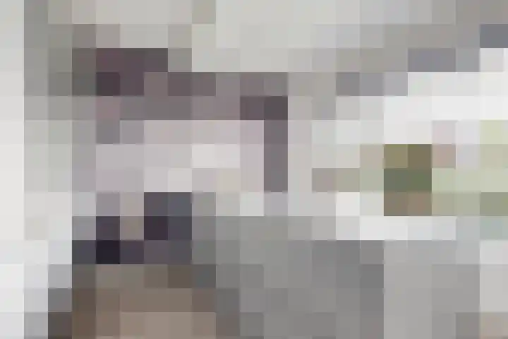 Jade 11 Zevenbergen thumbnail 18