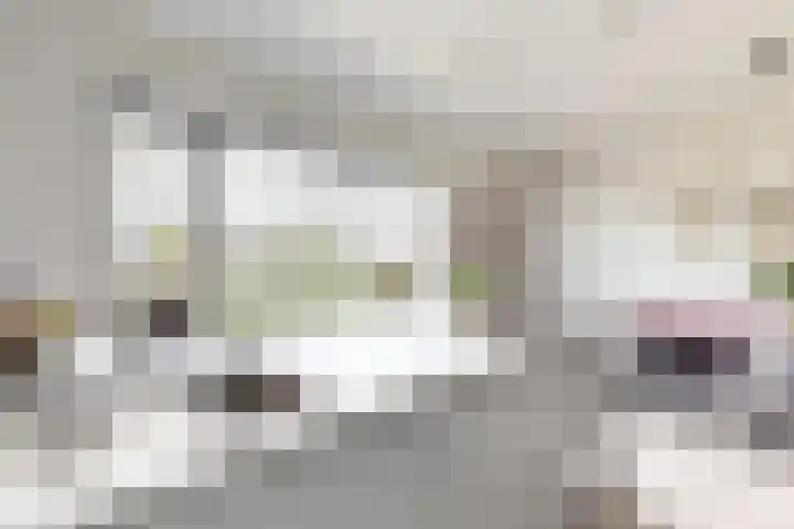 Jade 11 Zevenbergen thumbnail 19