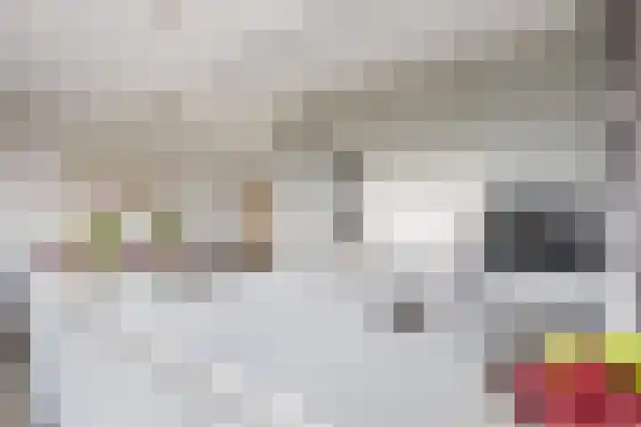 Jade 11 Zevenbergen thumbnail 20