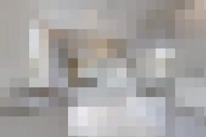 Jade 11 Zevenbergen thumbnail 21