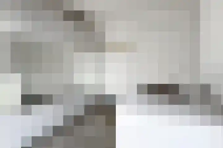 Jade 11 Zevenbergen thumbnail 22