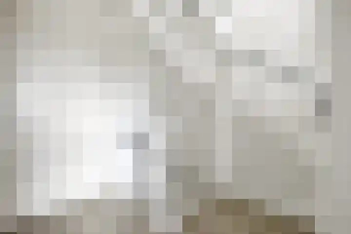 Jade 11 Zevenbergen thumbnail 25