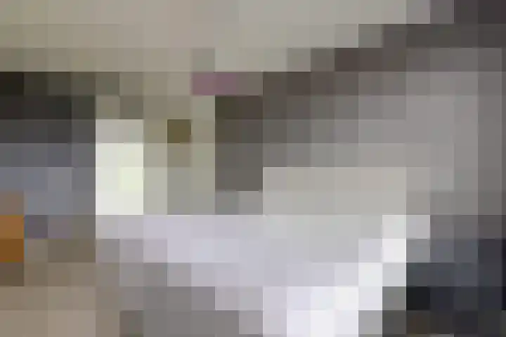 Jade 11 Zevenbergen thumbnail 26