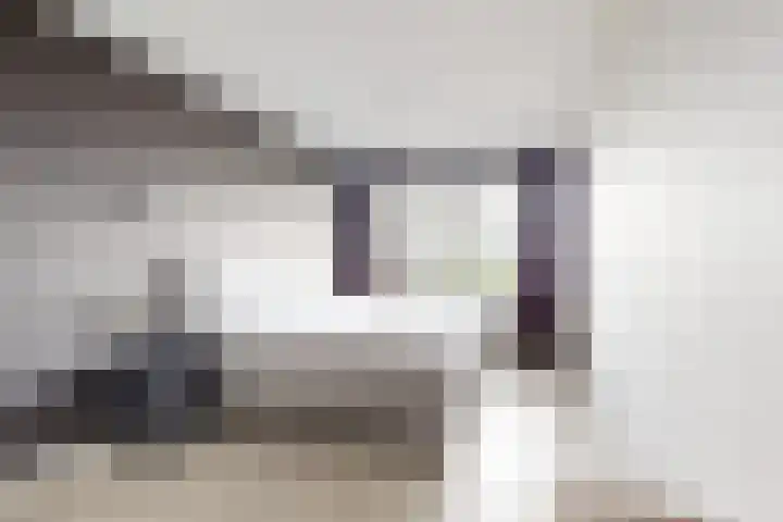 Jade 11 Zevenbergen thumbnail 27