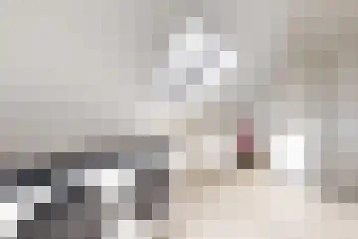 Jade 11 Zevenbergen thumbnail 34