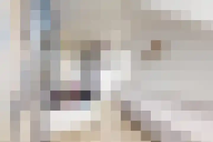 Jade 11 Zevenbergen thumbnail 41