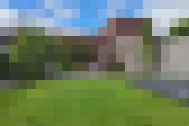 Jade 11 Zevenbergen thumbnail 43