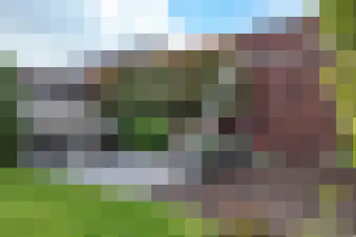 Jade 11 Zevenbergen thumbnail 45