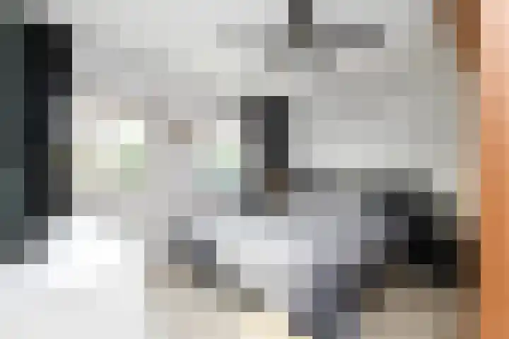 Jade 25 Zeewolde thumbnail 15