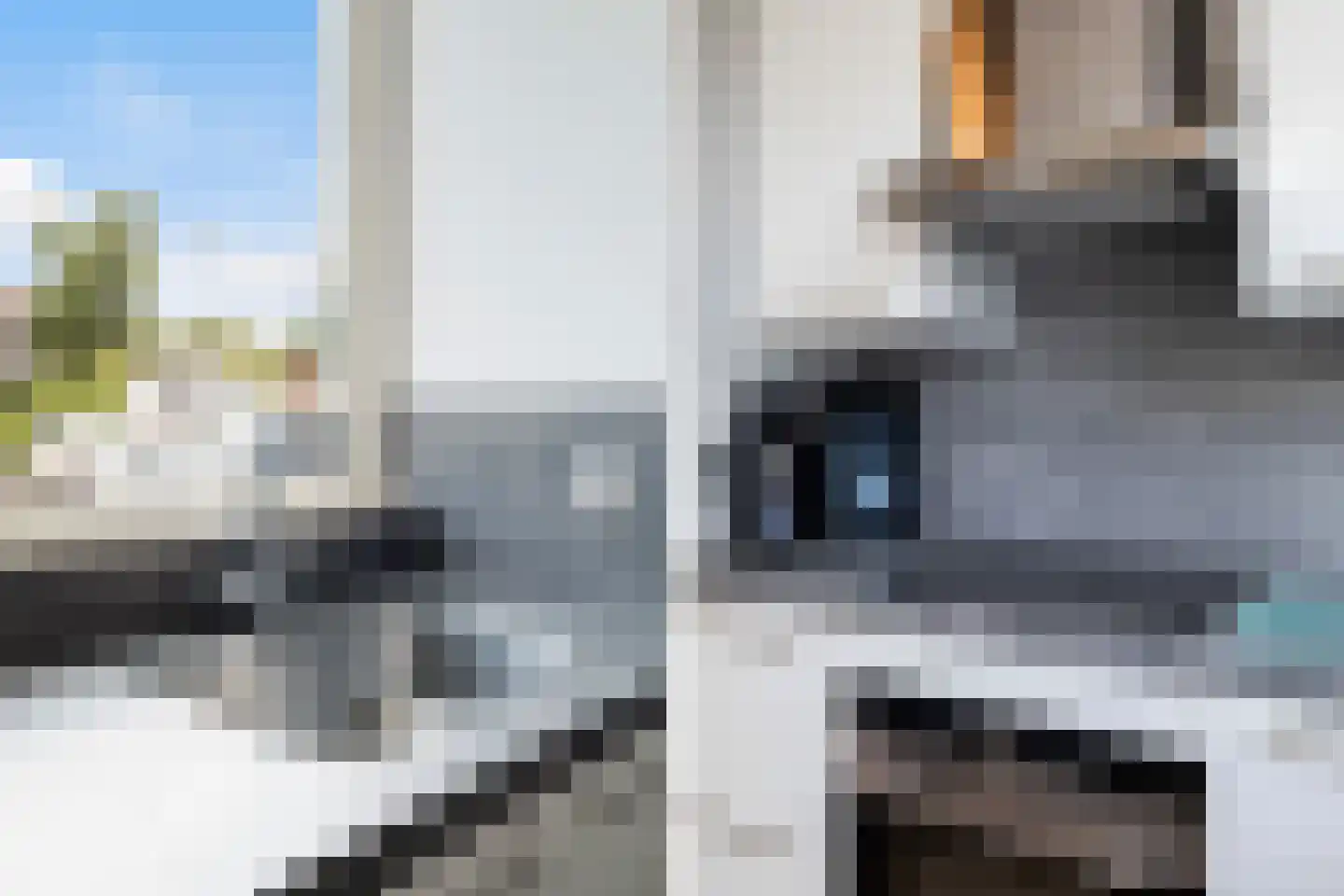 Jade 4 's-Gravenzande thumbnail 15