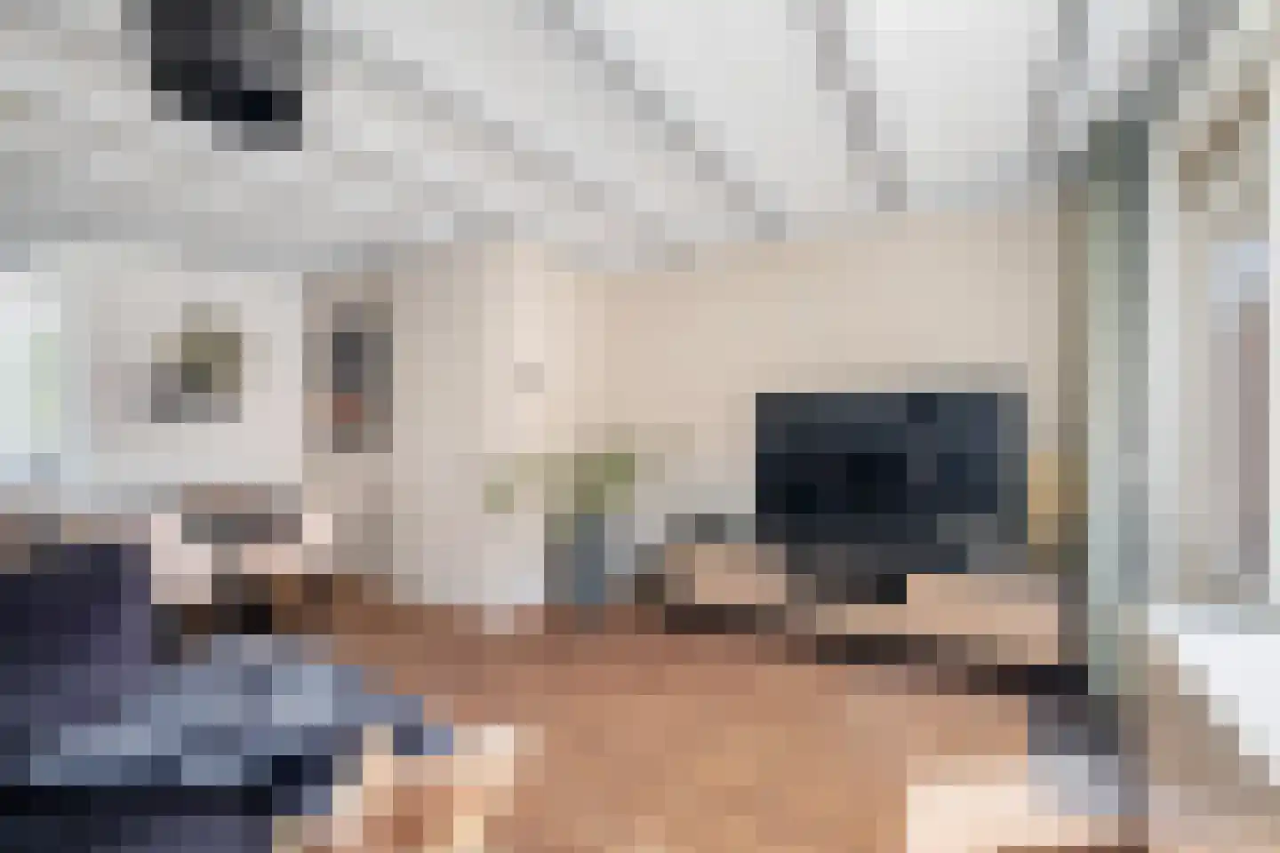 Jade 4 's-Gravenzande thumbnail 20