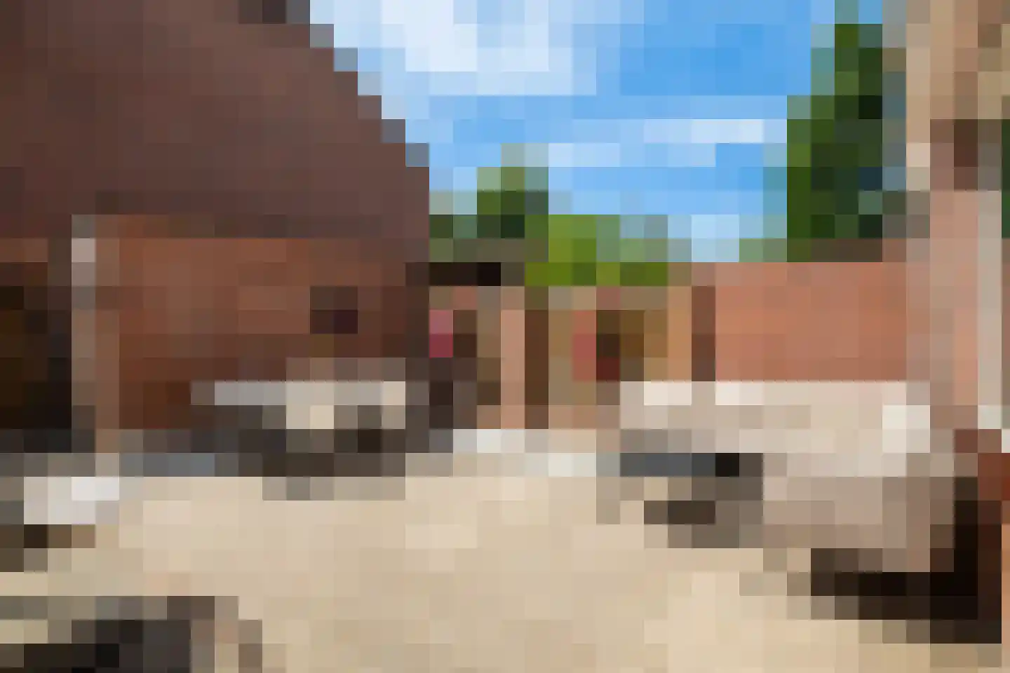 Jade 4 's-Gravenzande thumbnail 36